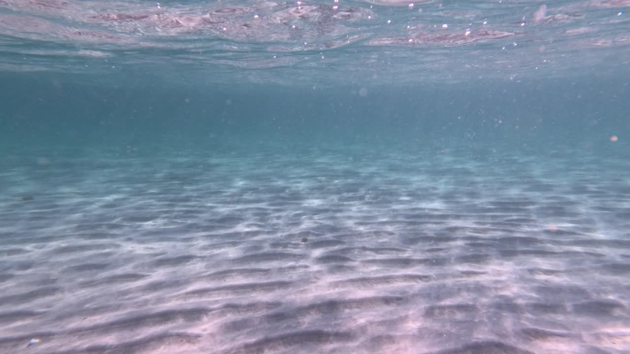 Explorando o fundo arenoso subaquático em Melbourne