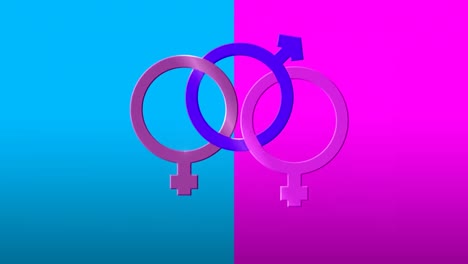 Animation-of-linked-male-and-two-female-gender-symbols-on-pink-and-blue