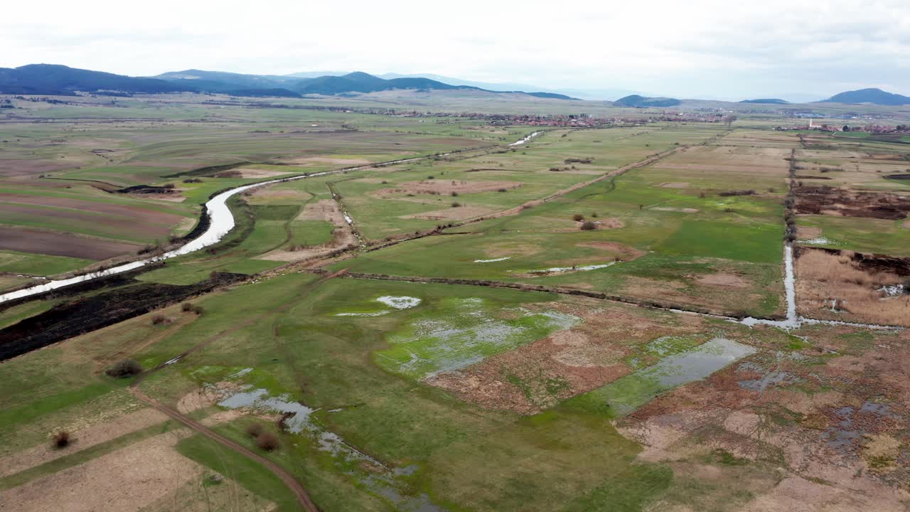 campo exuberante con agua estancada en un día nublado