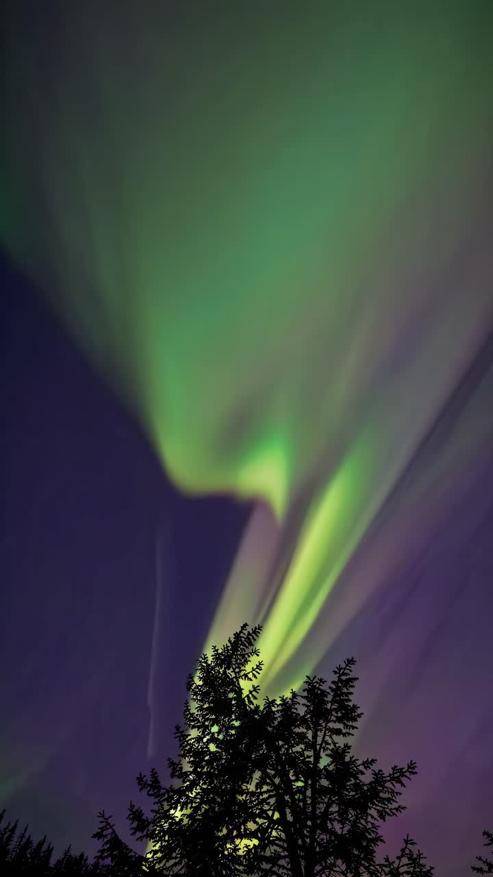 A mesmerizing video still of the Northern Lights, captured from a low angle, showcasing vibrant