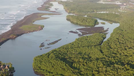 local boats in middle of mangroves during sunrise at el paredon guatemala, aerial