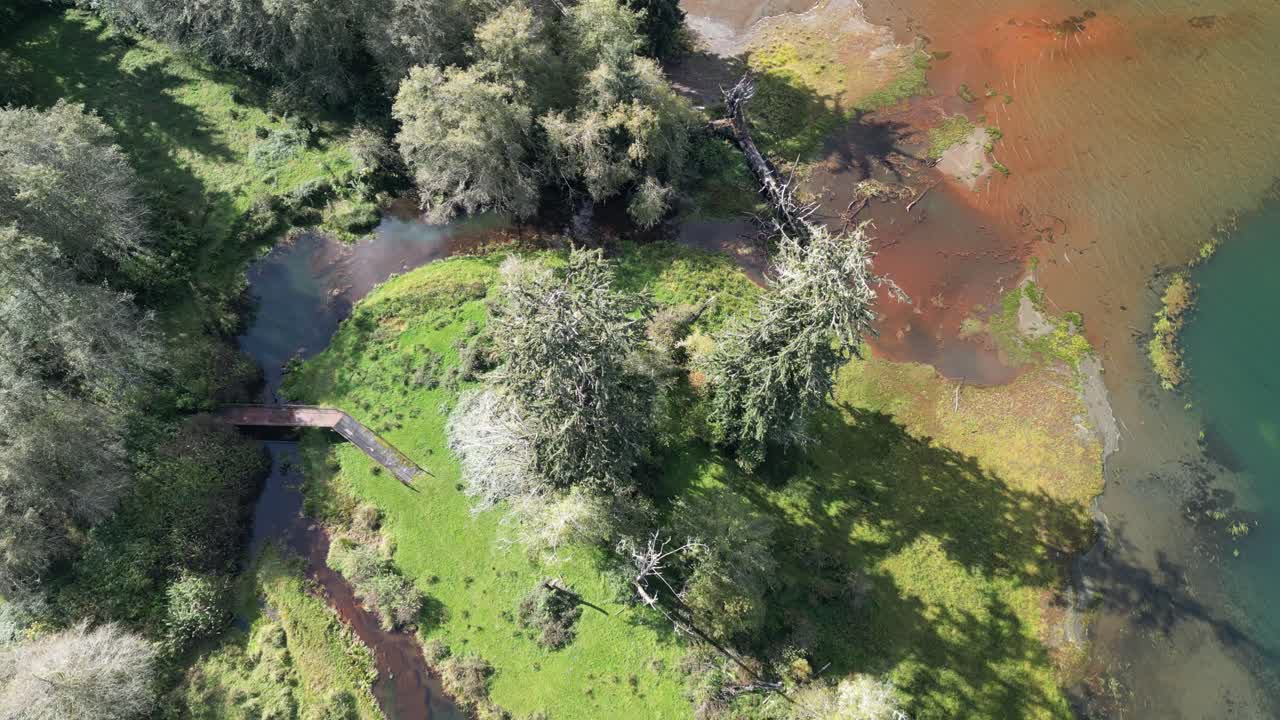 Aerial view of trees and marshland with vibrant water hues and natural textures from above