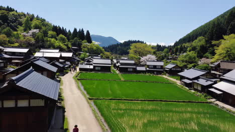 japanese village in spring
