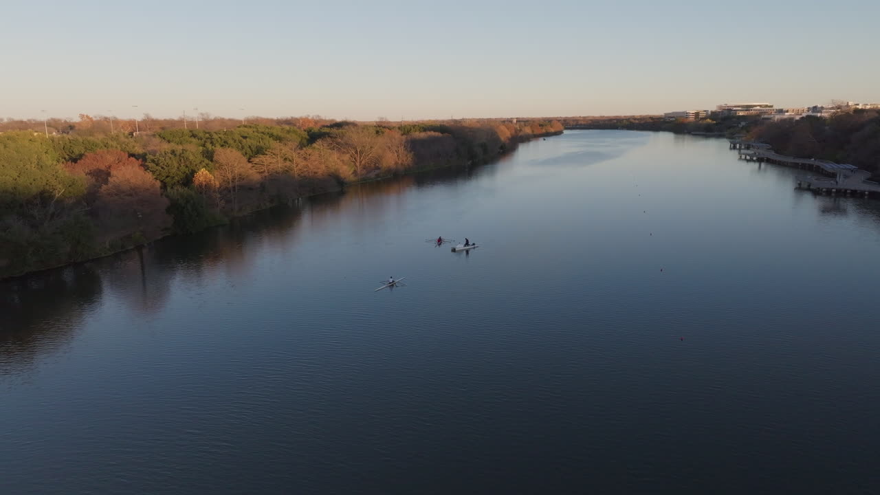 Aerial shot of rowing boat on lake with flying birds and trees at sunset