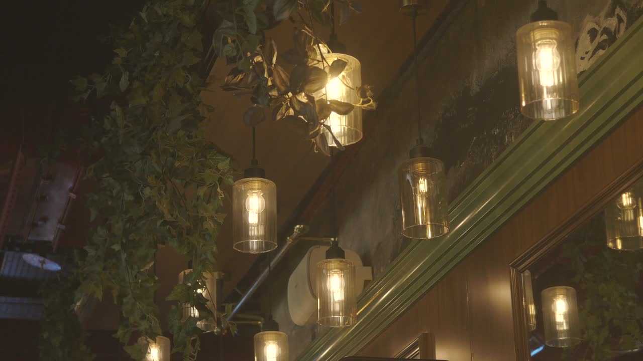 Indoor Hanging Lights with Ivy