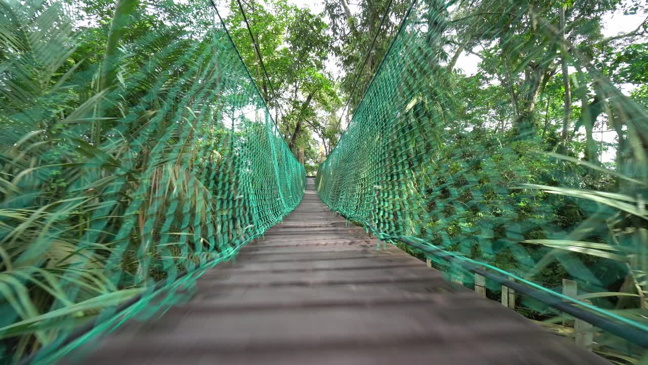 caminar en el puente de dosel de madera