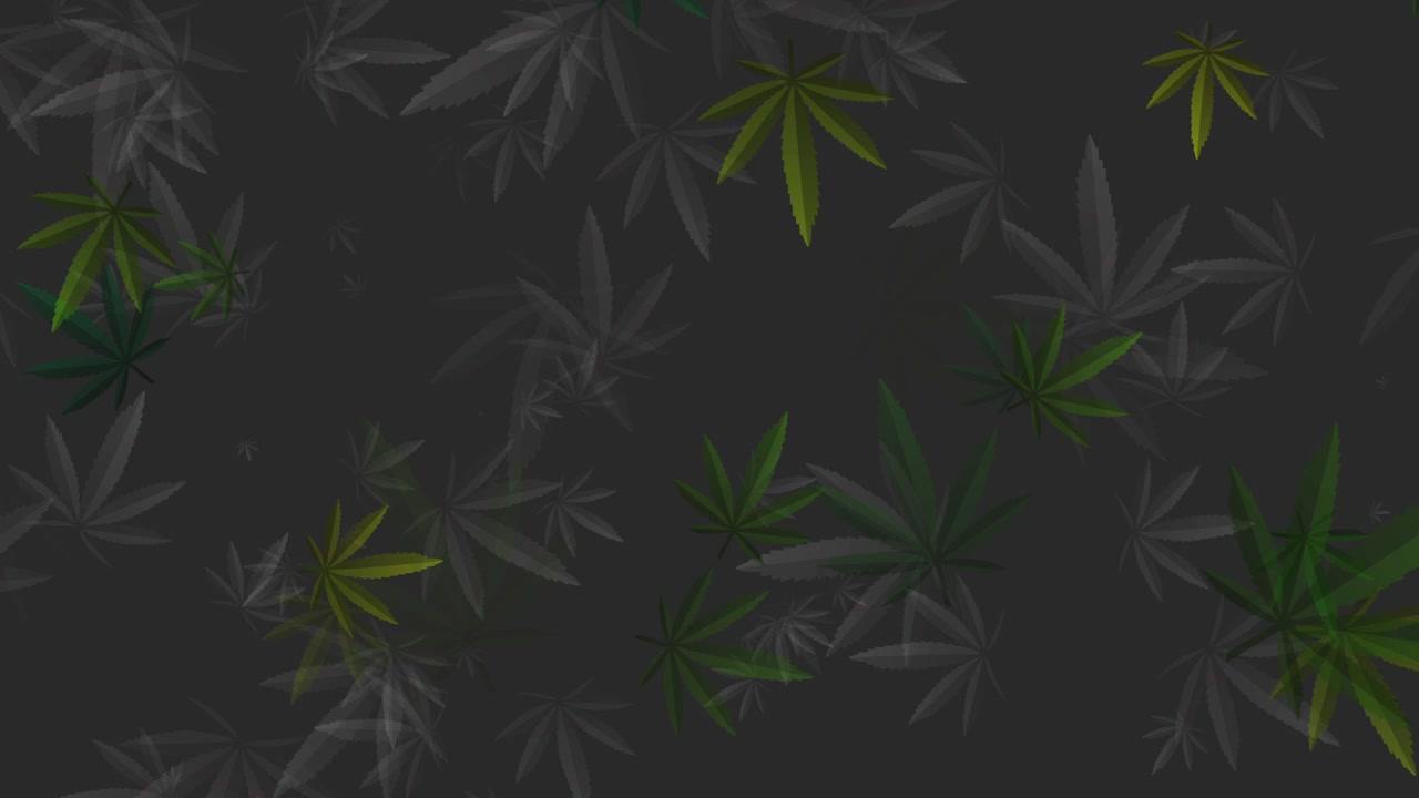 Loop animated pattern with marijuana leaves in dark green color. Abstract background.