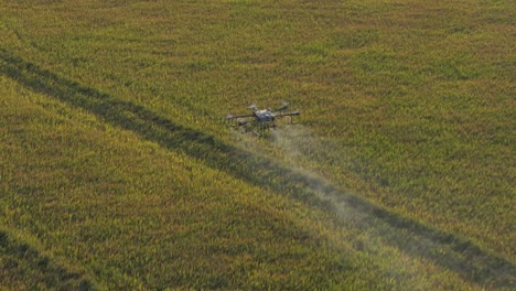 un disparo de alta velocidad de un avión no tripulado agrícola dji rociando pesticidas o fertilizantes en el cultivo de arroz en texas
