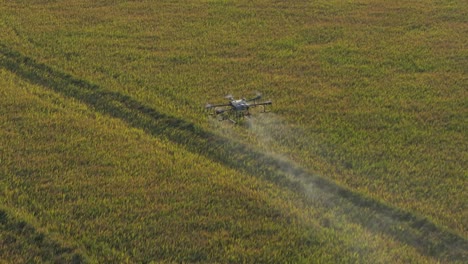 a high speed shot of a dji agricultural drone spraying pesticides or fertilizer onto rice crop in texas