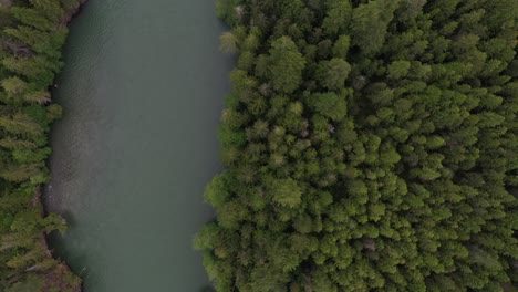 Peaceful-river-flowing-in-the-British-Columbia-rainforest