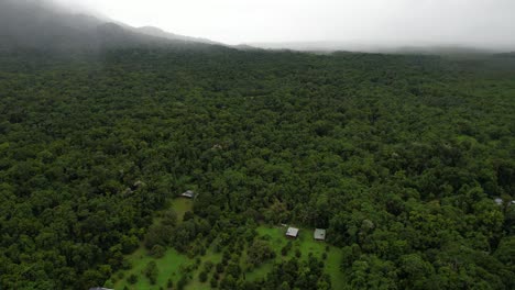 Aerial-View-of-Daintree-Rainforest,-Queensland,-Australia