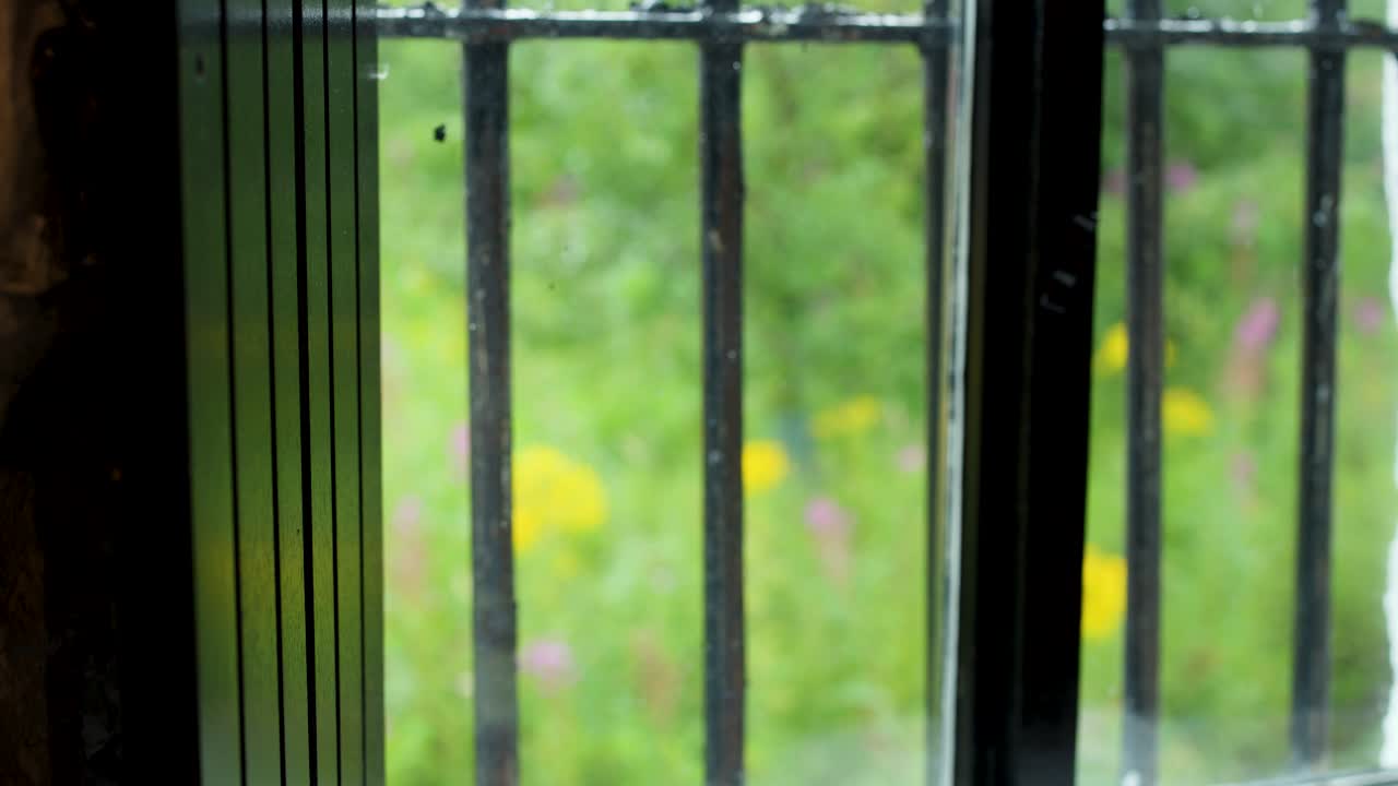 Camera slowly pans past window bars, revealing sunlit wildflowers and lush greenery outside