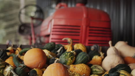 Mehrere-Kürbisse-Auf-Dem-Bauernhof,-Im-Hintergrund-Ist-Ein-Traktor-Zu-Sehen.-Halloween-Dekor