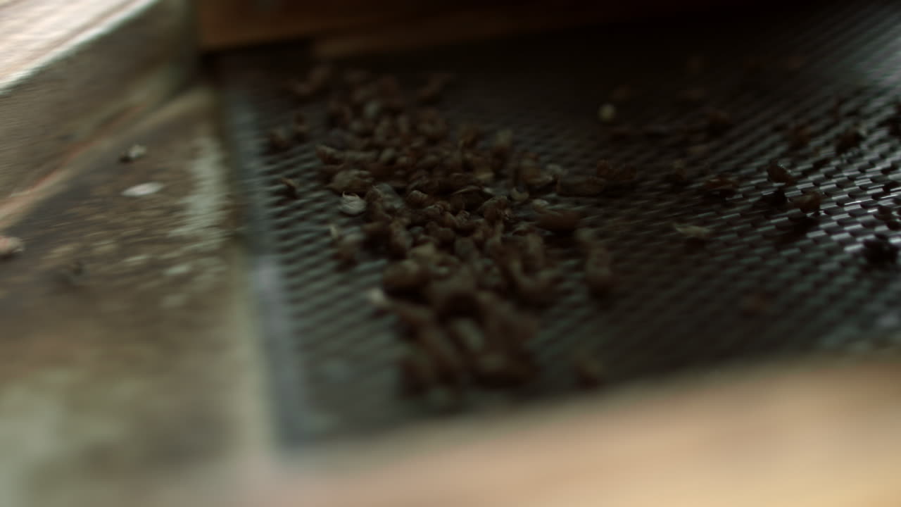 공장에서의 기술적 과정의 일부로 그리드 분리기에 있는 씨 ⁇