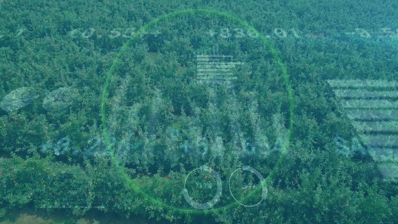 Animation overlaying digital data on lush green forest for environmental analysis