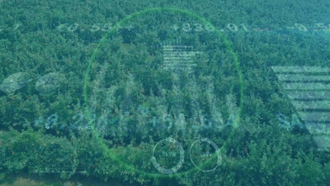 animation overlaying digital data on lush green forest for environmental analysis