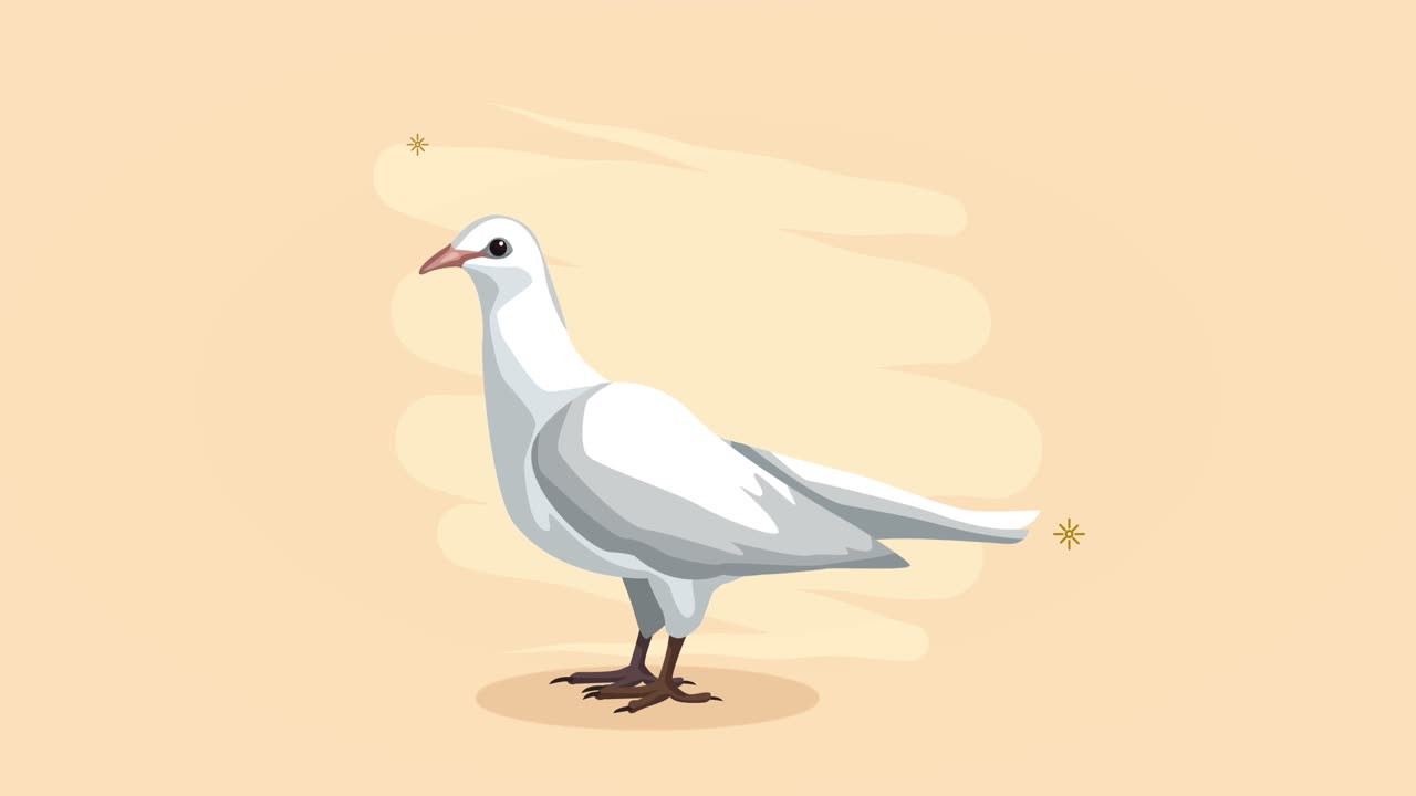 animación de pájaros paloma blanca y linda