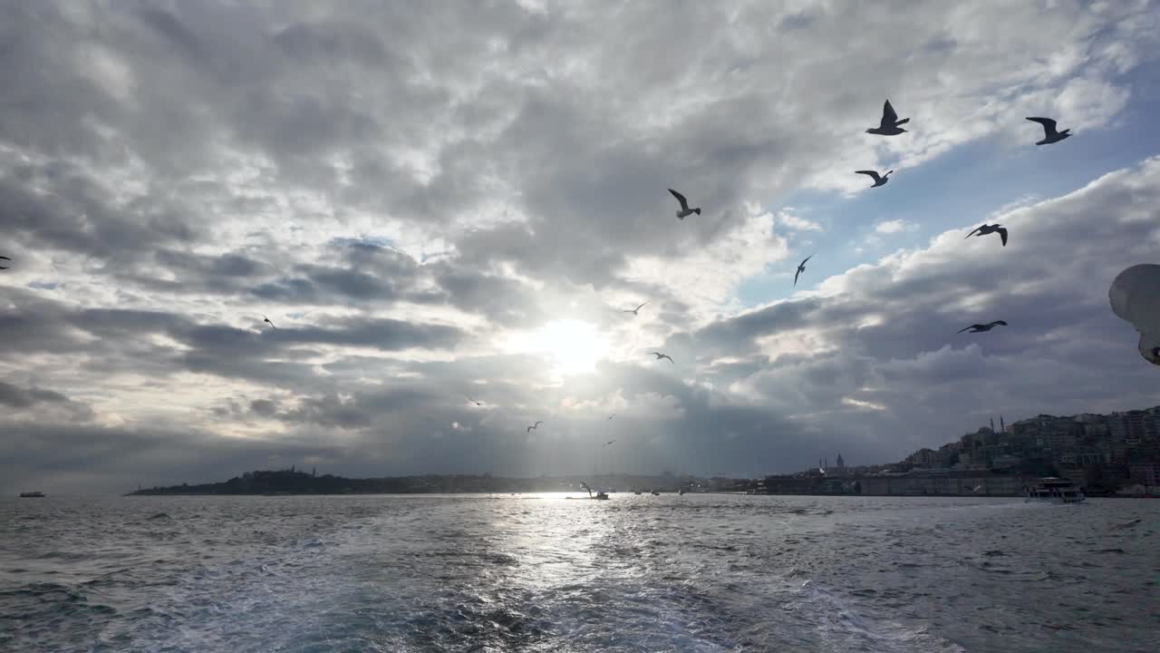 Seagulls soaring over Bosphorus as sun rays pierce clouds in Istanbul