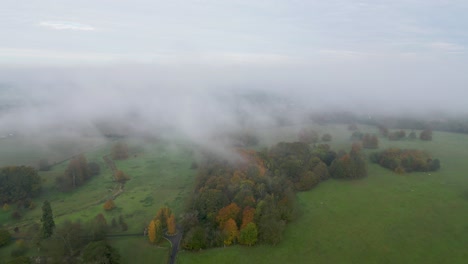 Volando-Hacia-Atrás-A-Través-De-La-Niebla-Con-Un-Dron-Sobre-árboles-De-Colores-Otoñales-Vibrantes