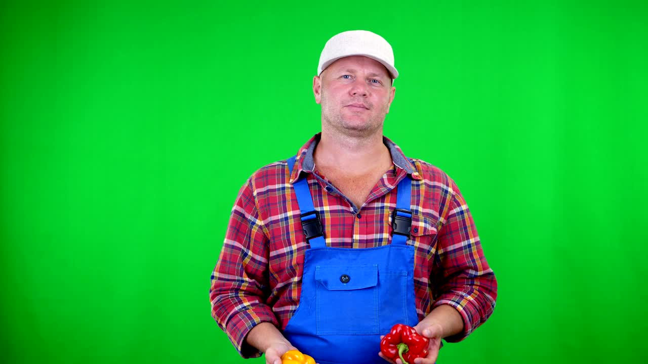 Agricoltore sorridente con camicia a quadri e cappello tiene in mano dei peperoni dolci, giocando li lancia, su Chromakey, sfondo verde. Concetto di cibo sano sulla tua tavola