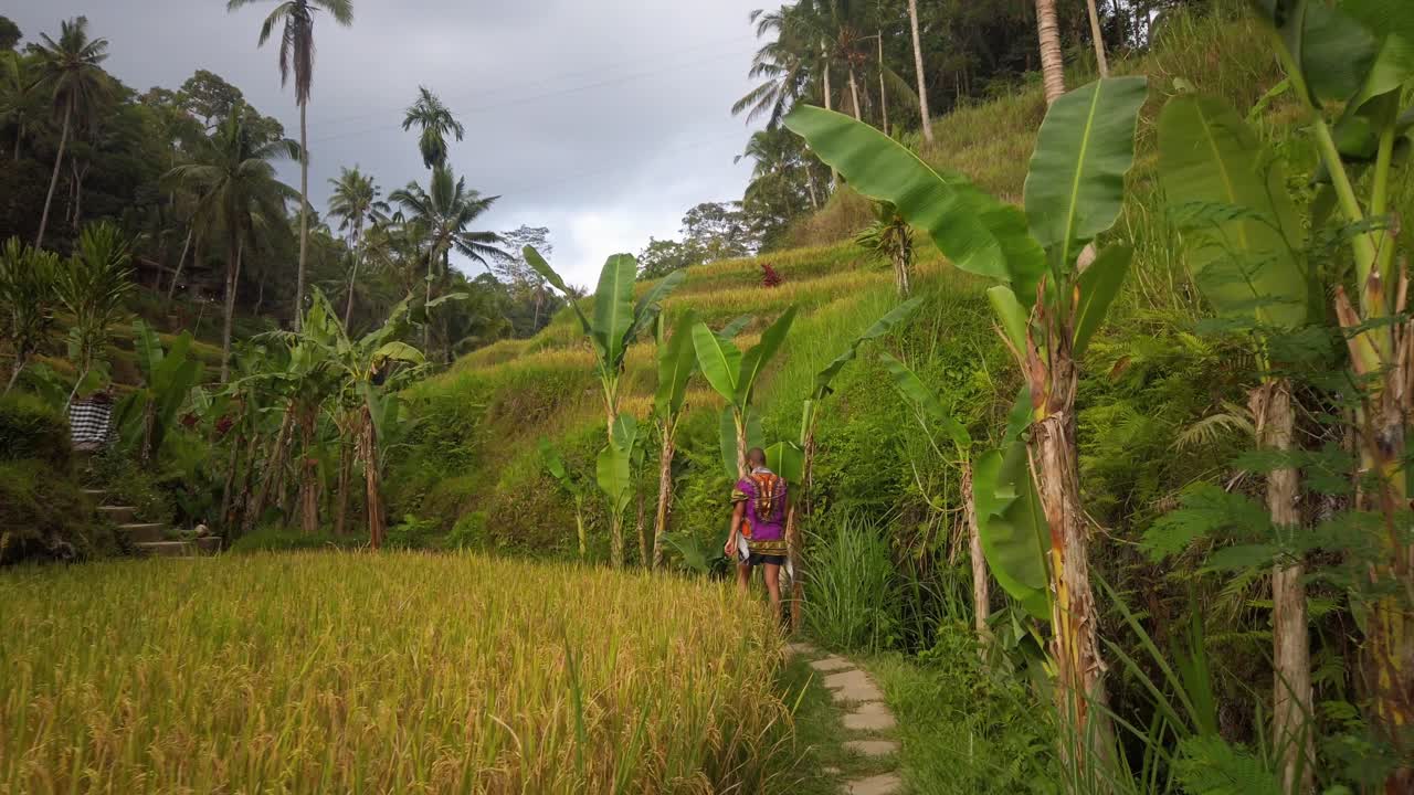 인도네시아 발리 우붓에서 골든 아워 동안 테갈랄랑 계단식 논을 걷는 남자-1