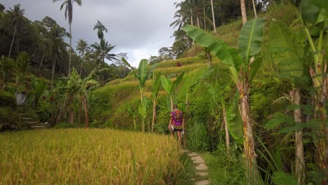 man walks in tegalalang rice terraces during golden hour in ubud, bali, indonesia-1