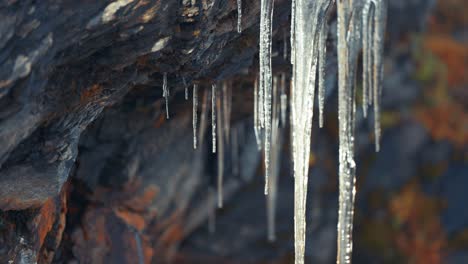 Zerbrechliche-Eiszapfen-Funkeln-Vor-Dem-Dunklen-Felshintergrund,-Während-Langsam-Schmelzwasser-Von-Ihnen-Tropft