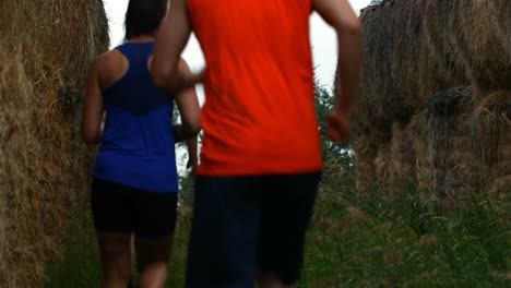 fit caucasian man helping his friends getting out from hay bale 4k