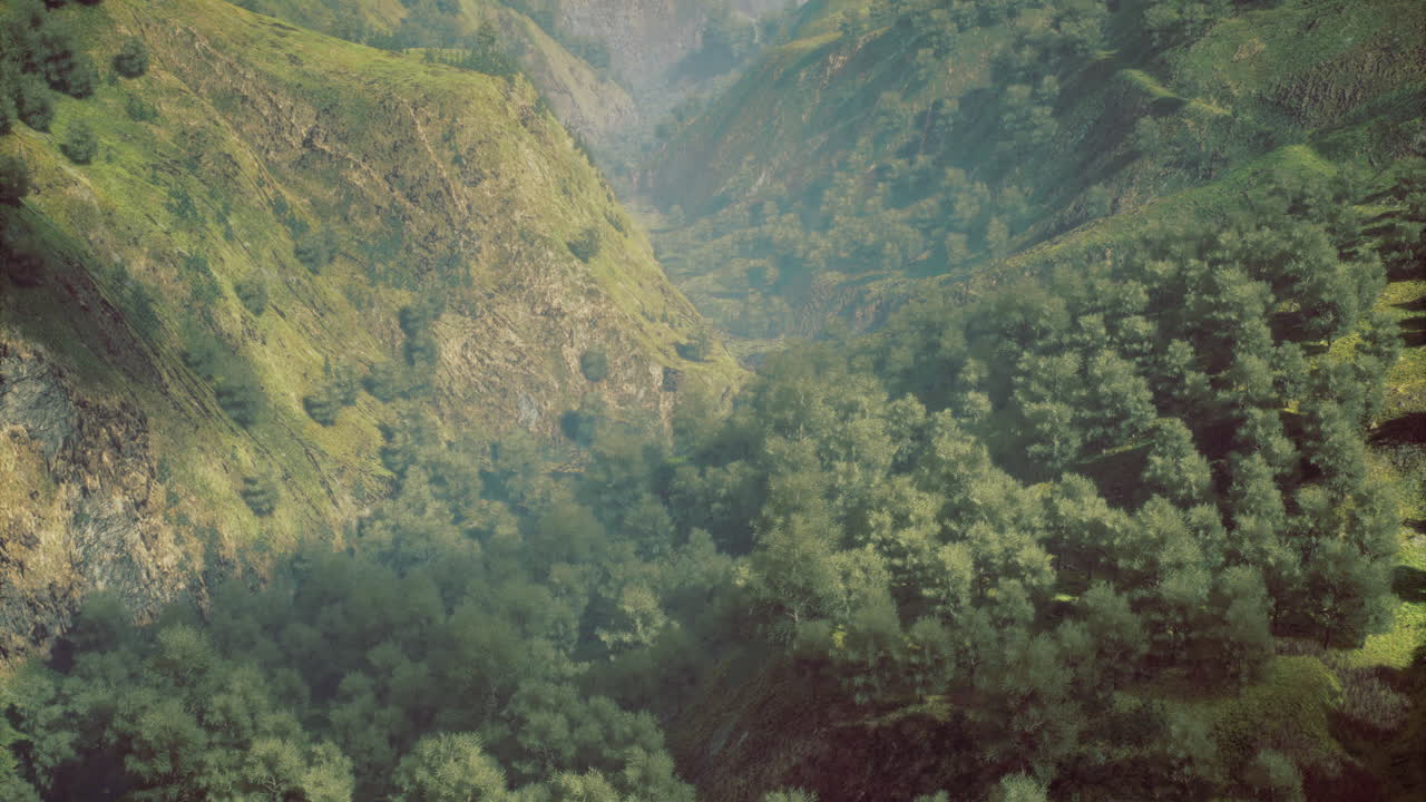 Green valley blooms with natures beauty at serene sunrise