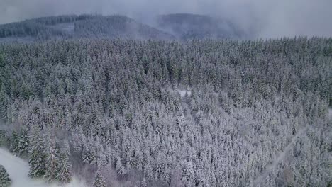 toma de un dron de un lugar con nieve
