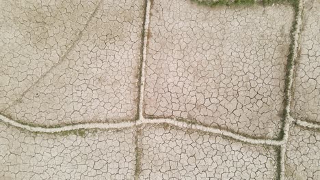 top view of dry paddy fields, south asia, severe drought, zoom in, day