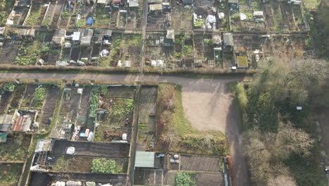 aerial of community vegetable gardens