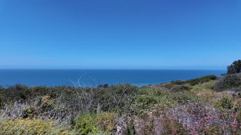 caminando por el sendero de la playa en el parque estatal torrey pines con una vista del océano pacífico en el sur de california cerca de san diego