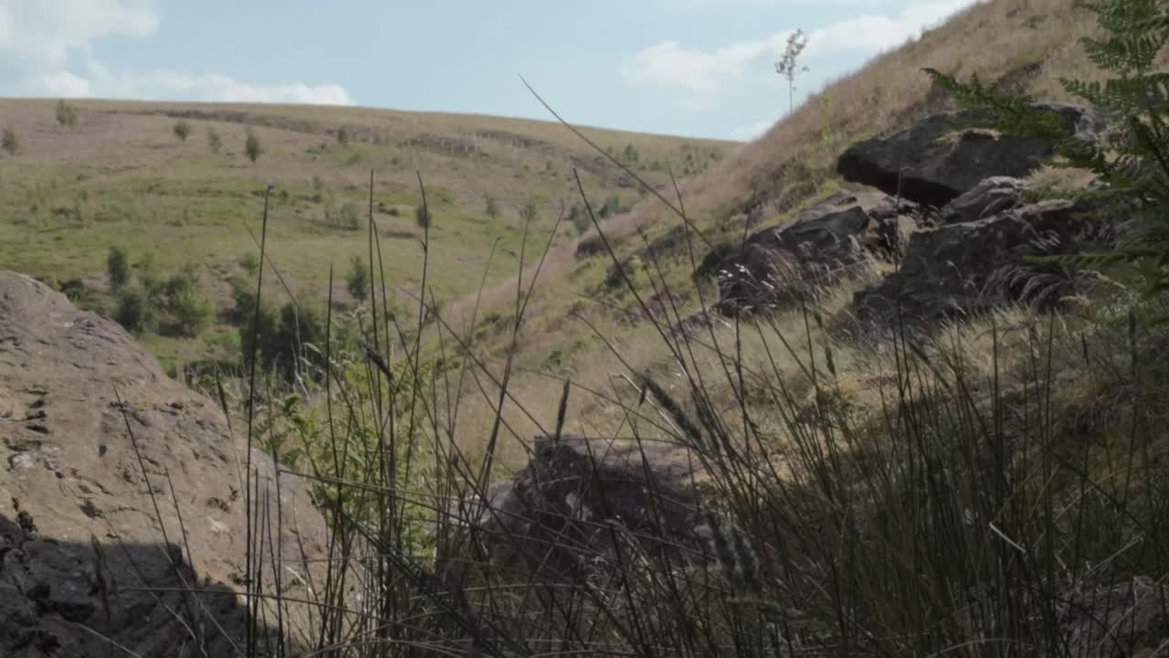 Yorkshire hills with rocks and bracken wide landscape tilting shot