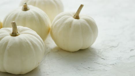 pequeñas calabazas blancas sobre la mesa