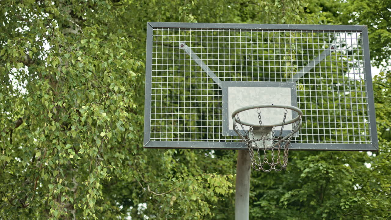 Outdoor Basketball Hoop with Metal Net Surrounded by Green Trees