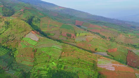 Drone-flying-over-Temanggung,-Indonesia-tobacco-plantation