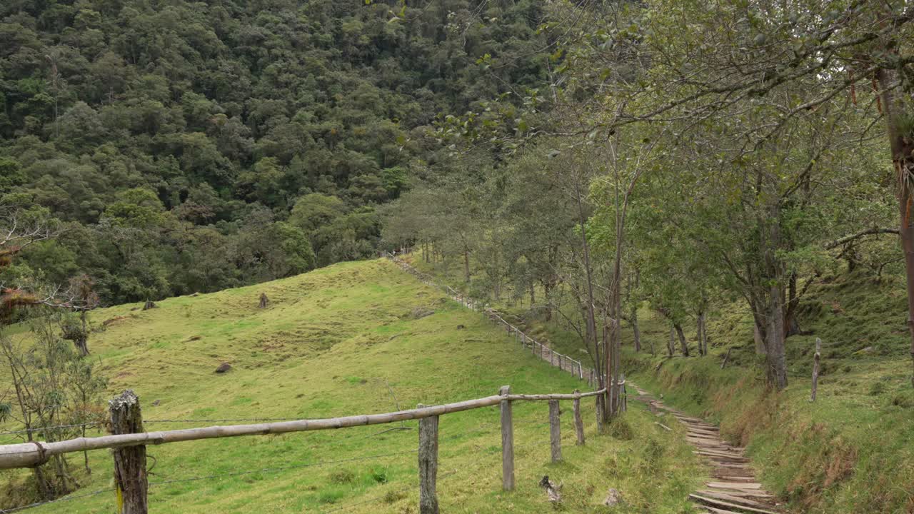 A rustic footpath with wooden fence winds across Andean pasture, Low angle