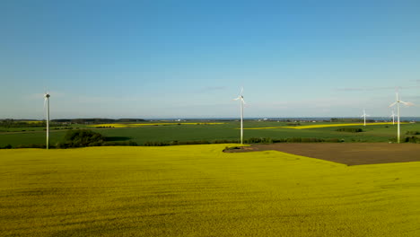 wind farm on a yellow field