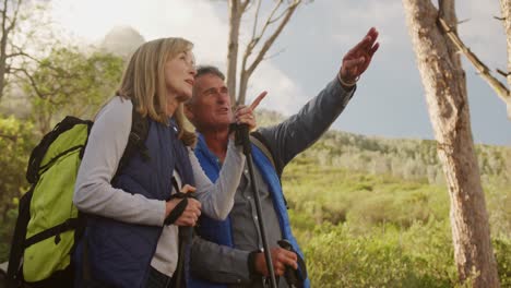 Pareja-Senior-Activa-Caminando-En-El-Bosque