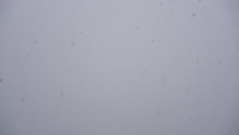 snow on a gray sky background
