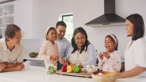 Happy-multi-generation-family-cooking-together