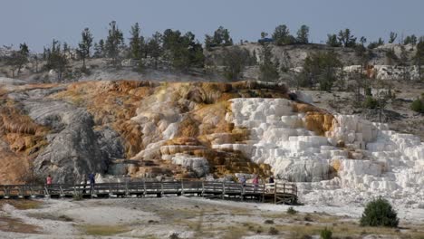 tourists walking through the boardwalk at mammoth hot springs in yellowstone national park, wyoming, usa