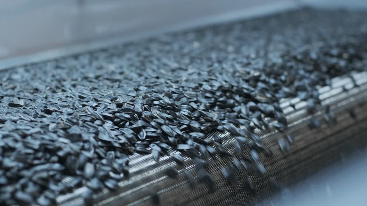 많은 씨, 선플라워 씨, 베이킹 머신, 긴 선플라우머 씨, 자동차에서 나온 음식 생산.