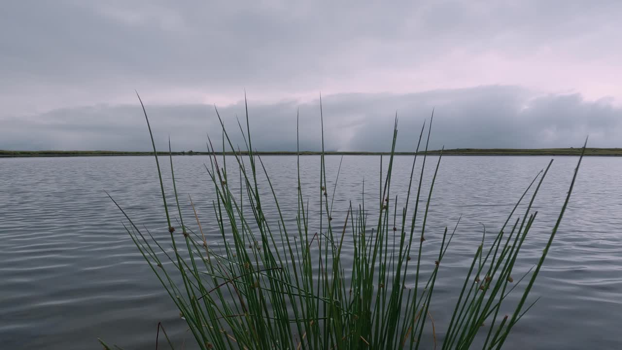 вэрнсайд тарнс водное озеро северный йоркшир, англия, соединенное королевство сельская местность