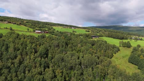 Aerial-view-of-dense-forest-trees-and-rolling-hills-in-Besseggen,-Norway