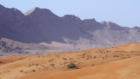 sedimentary rock mountain ranges of fossil rock in sharjah, united arab emirates