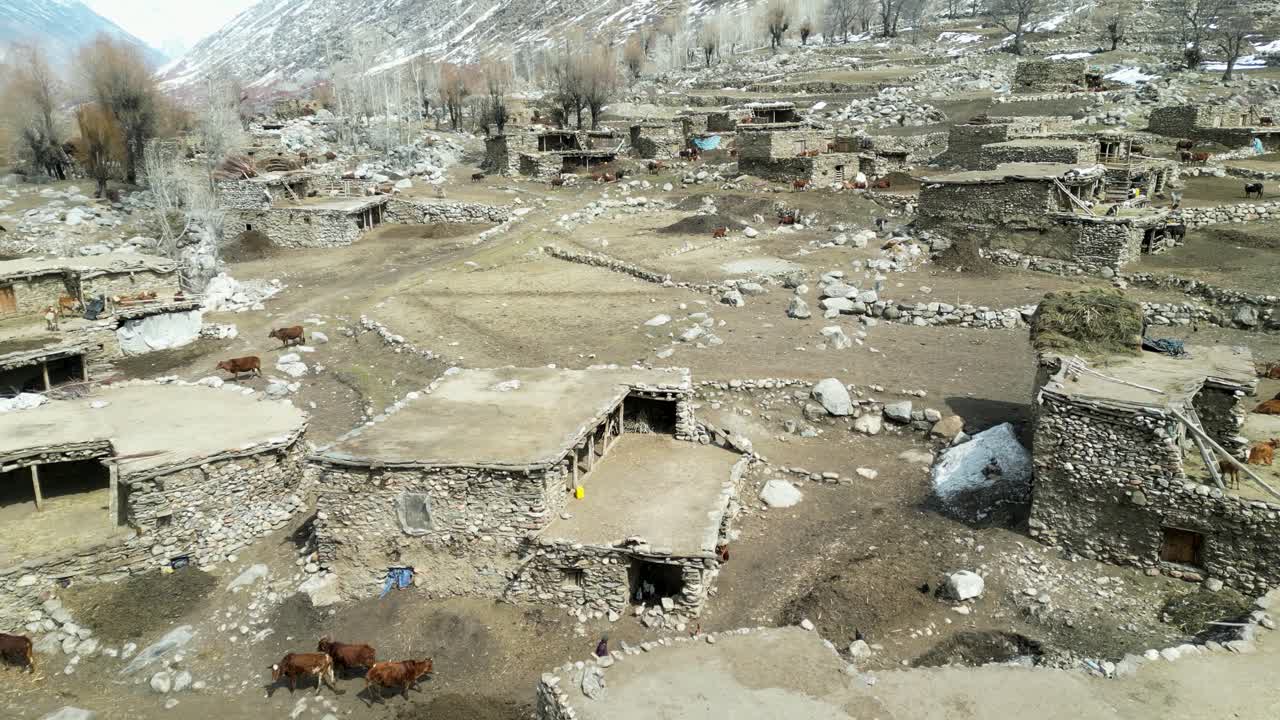 시골 생활의 아름다움