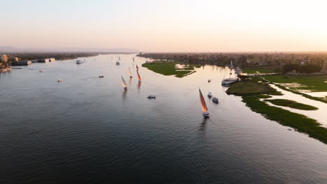egyptian felucca boat sailing past luxor palm trees