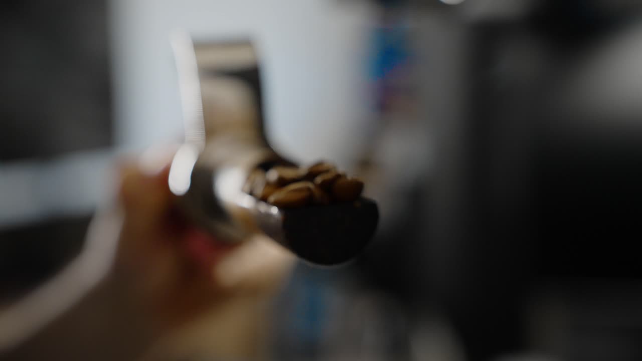 Fagioli di caffè arrostiti